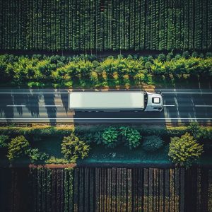 Sostenibilidad en el transporte de mercancías 